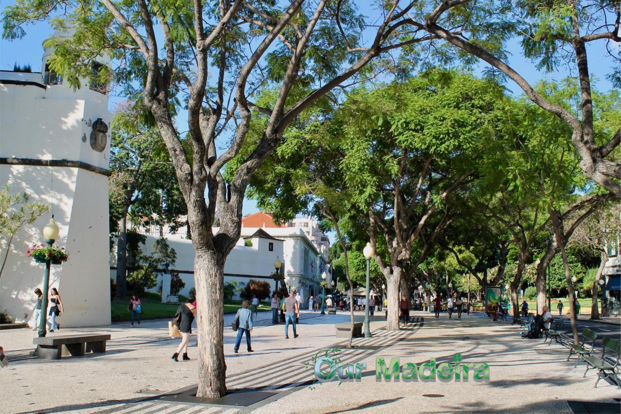 Ferienwohnung Ourmadeira - Heart Of Old Town I Funchal  Exterior foto